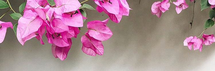 090_ayk's profile banner image