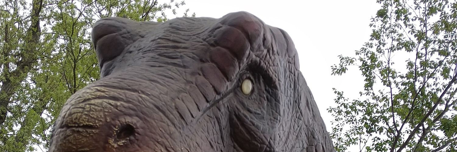 IiitTw's profile banner image