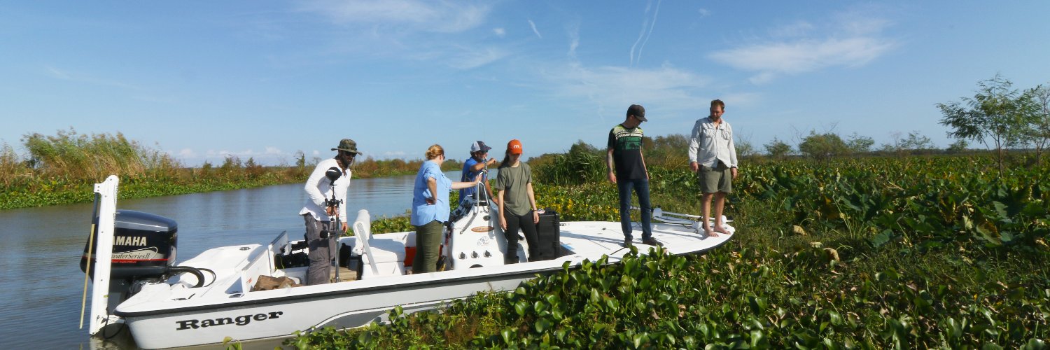 EDF Growing Returns banner