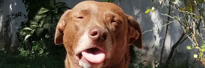 FranTheDude's profile banner image