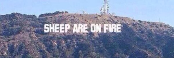 stuthedon Profile Banner