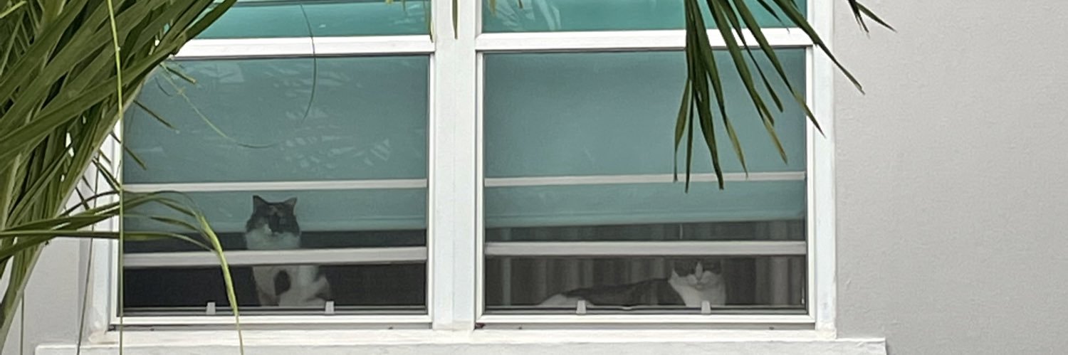 claudiapmr_'s profile banner image