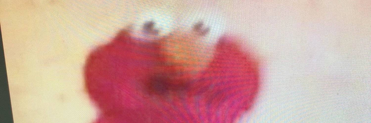 tfrunk's profile banner image