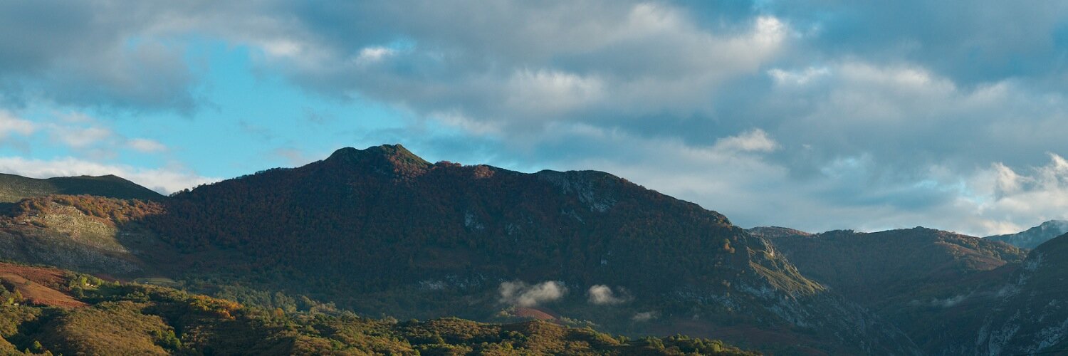 LaXamoca's profile banner image