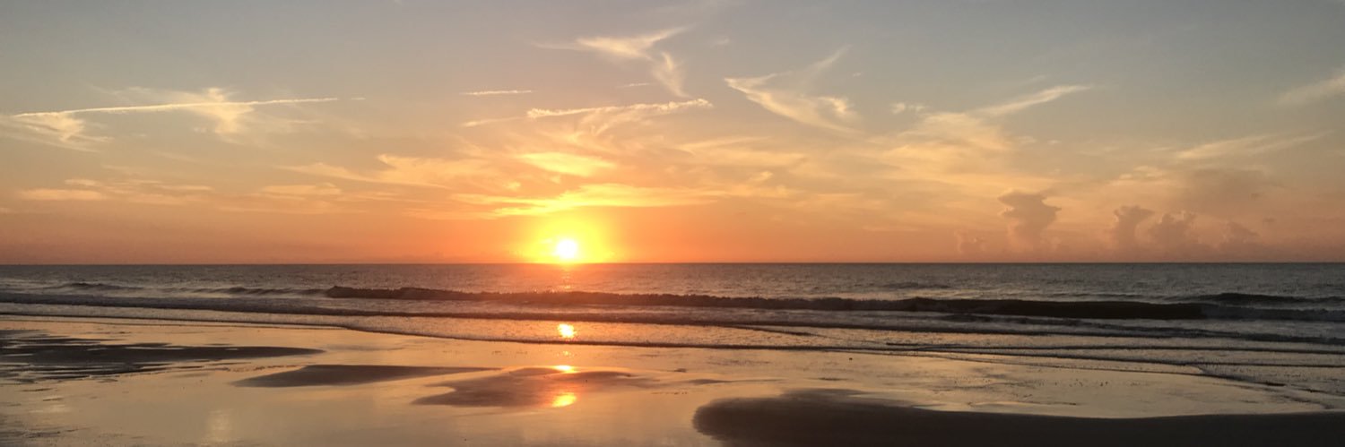 whelandanni's profile banner image