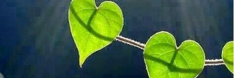 وقف لمحمود موصلي banner