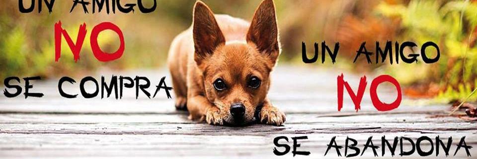 SOS Fauna Mérida banner