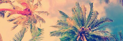 jesallgdr's profile banner image
