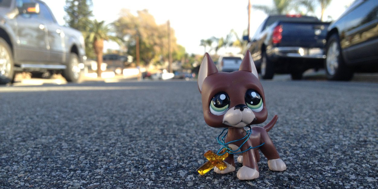 LPS4EVR21's profile banner image