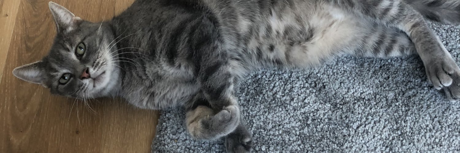 PeterYYYYYY's profile banner image