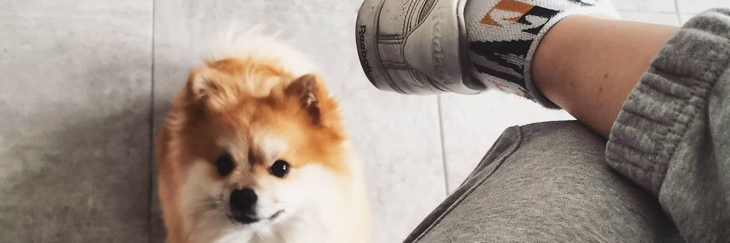 lStns_'s profile banner image