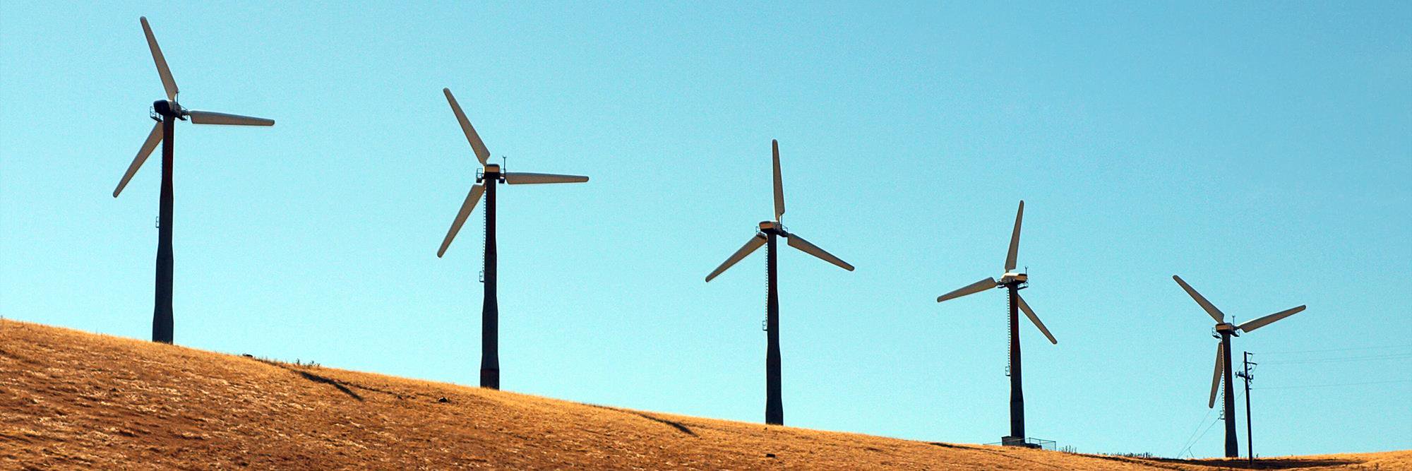 Chiel v Eendenburg banner