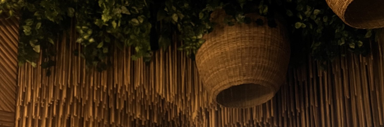 shokdevainilla's profile banner image