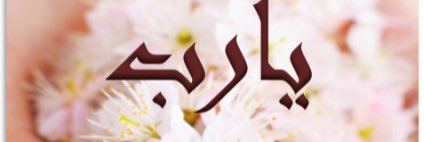 tefah000's profile banner image
