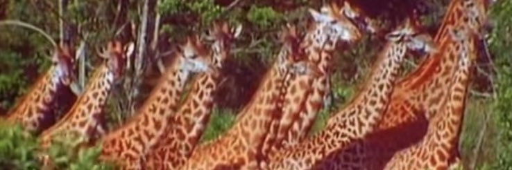 jwash012's profile banner image