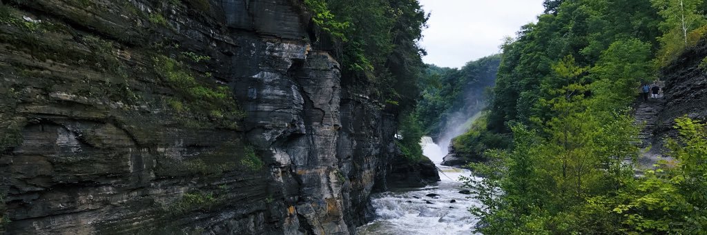 MorganRunk's profile banner image