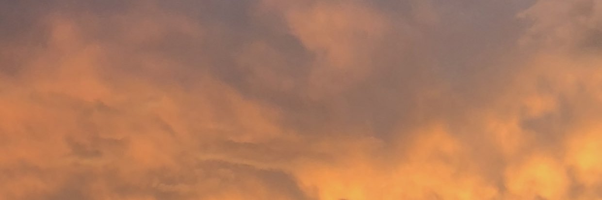 ryleemadrid's profile banner image