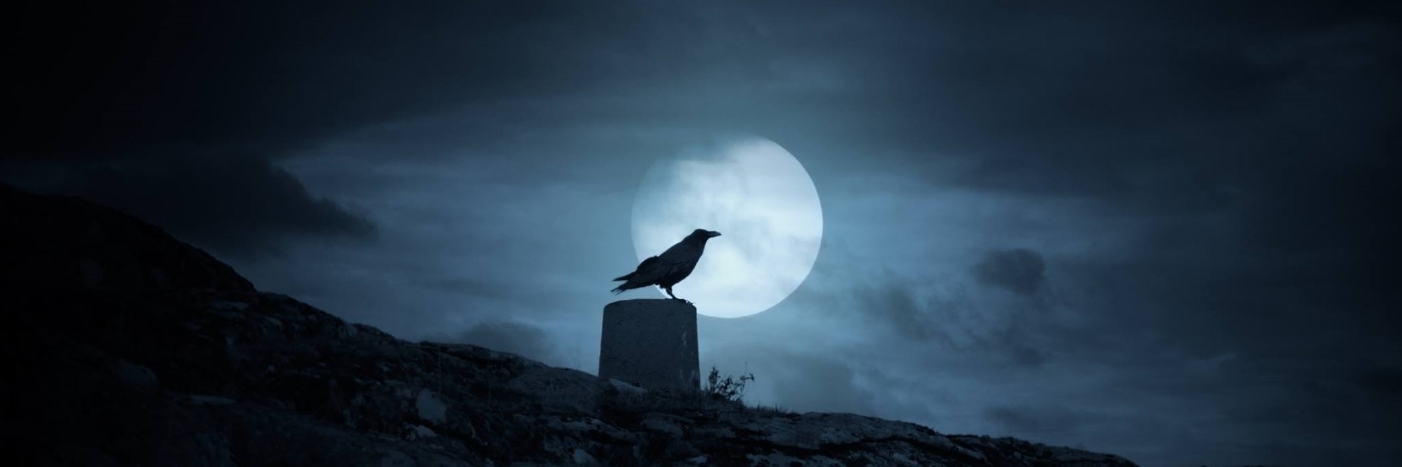 SebastianCrow21's profile banner image