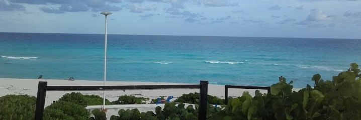 sofi_aven's profile banner image