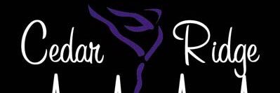 Cedar Ridge HS Dance banner