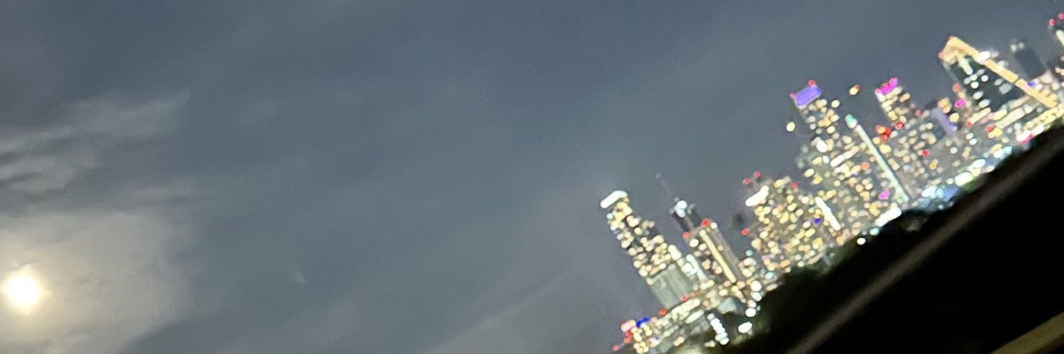 lisamichellel's profile banner image