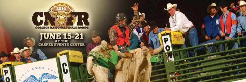 UTM Rodeo banner