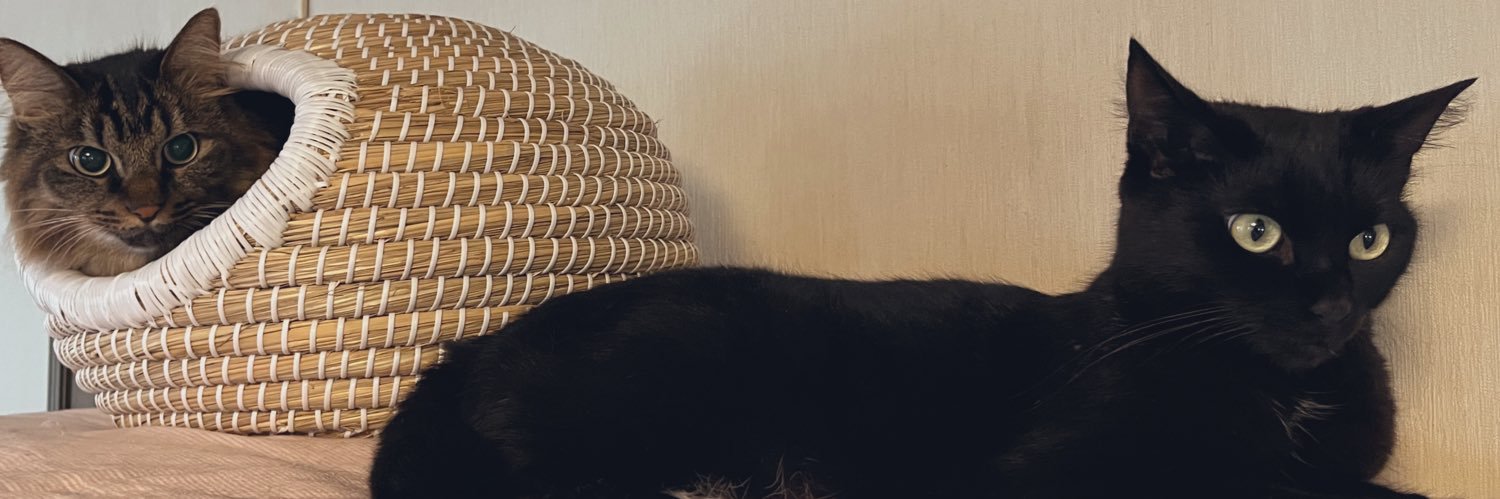 nobu_150's profile banner image