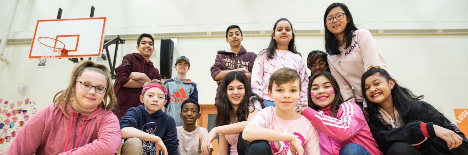dancED Movement Project banner