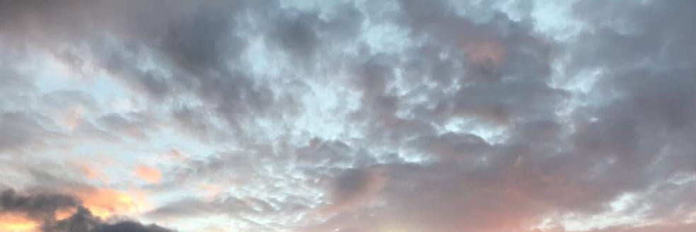 Natalie Chestnutt banner