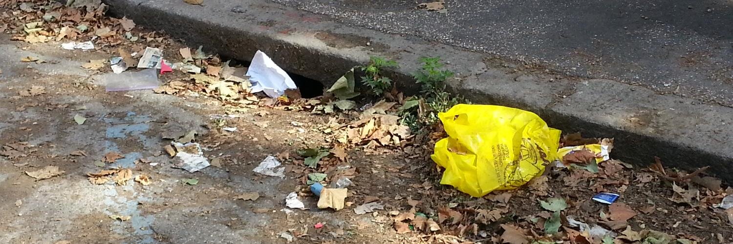 Se questa è Roma banner