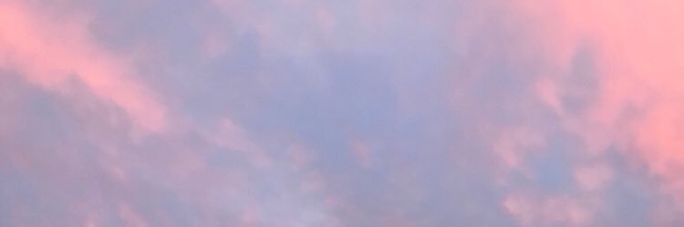 gabby d banner