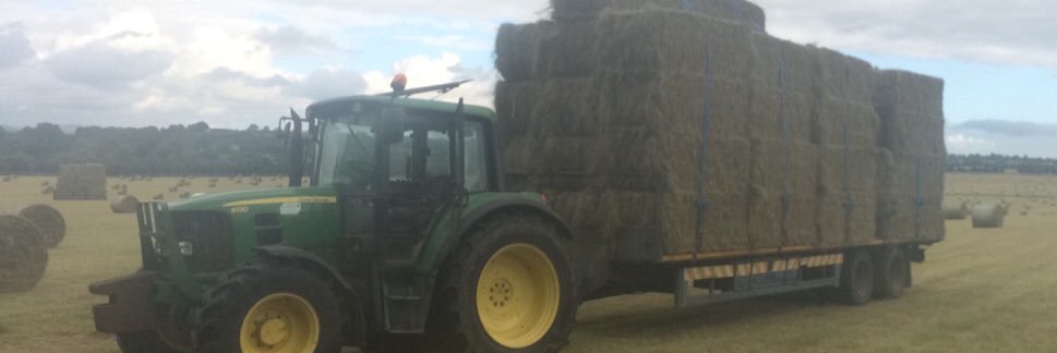 Damien Callaghan banner