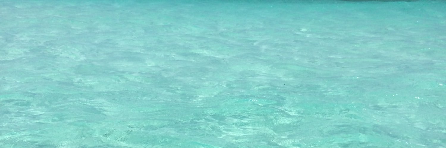 veidaco's profile banner image