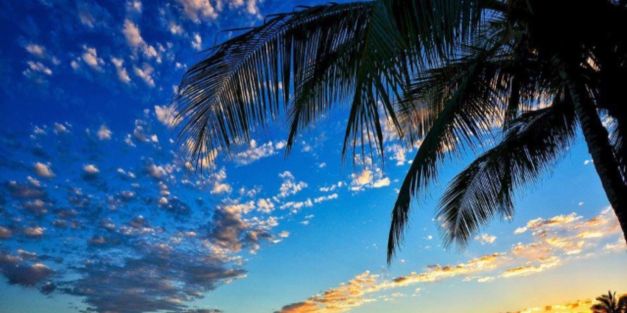 Lehua Paishon banner