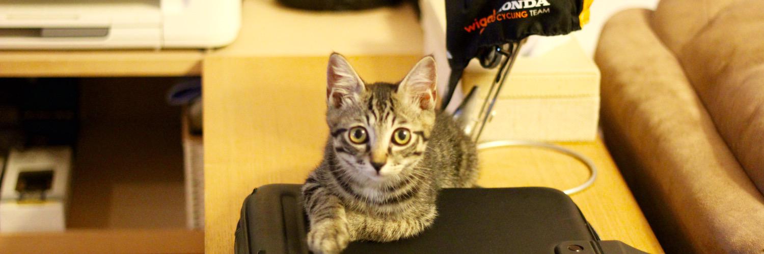 jidan99's profile banner image