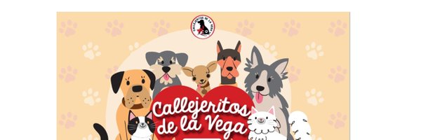 callejeritosDLV Profile Banner