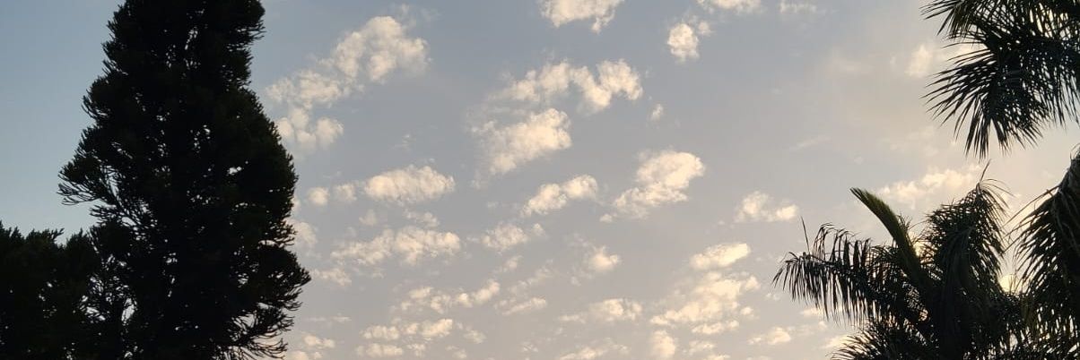 mathesilvas's profile banner image