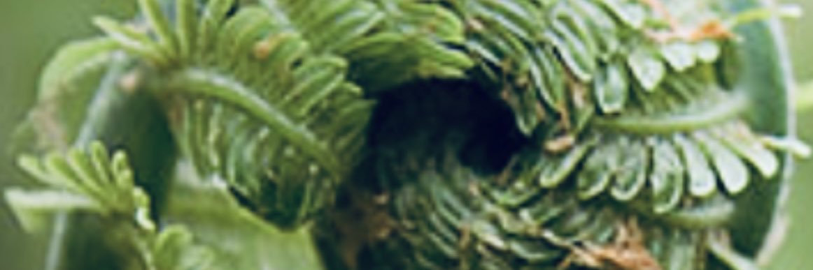 ssssaaaa223's profile banner image