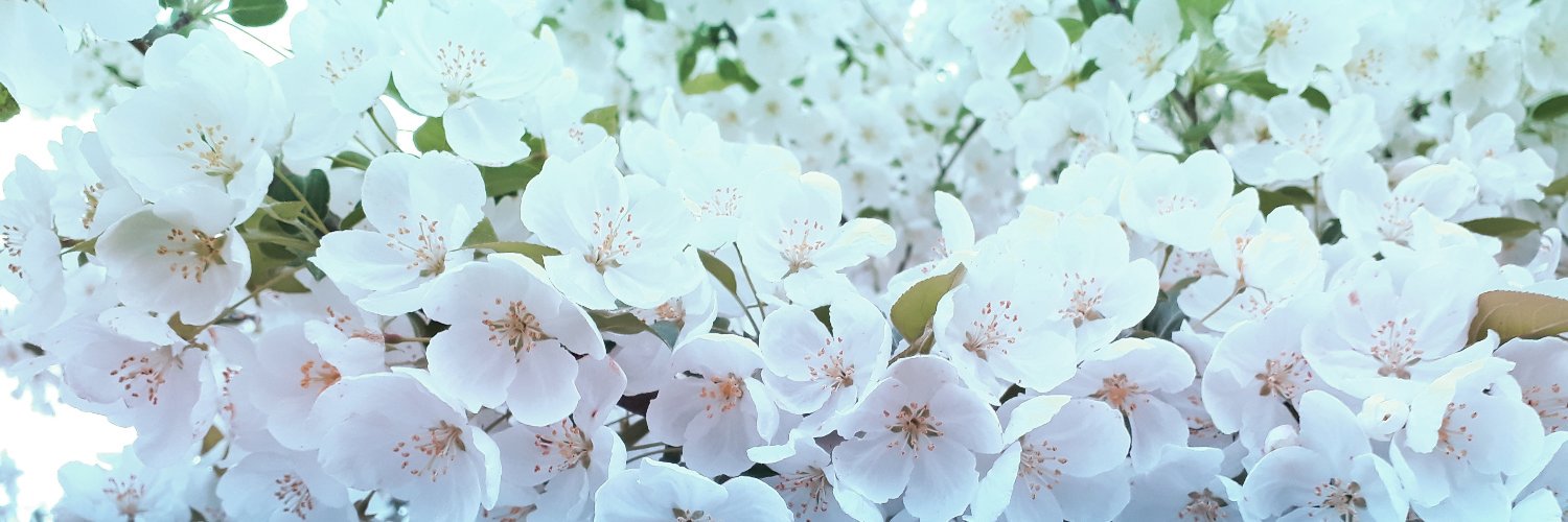 ew_the_ewe's profile banner image