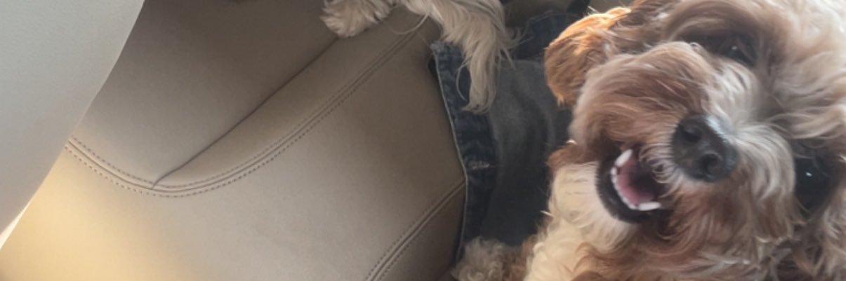 emilyrow_'s profile banner image