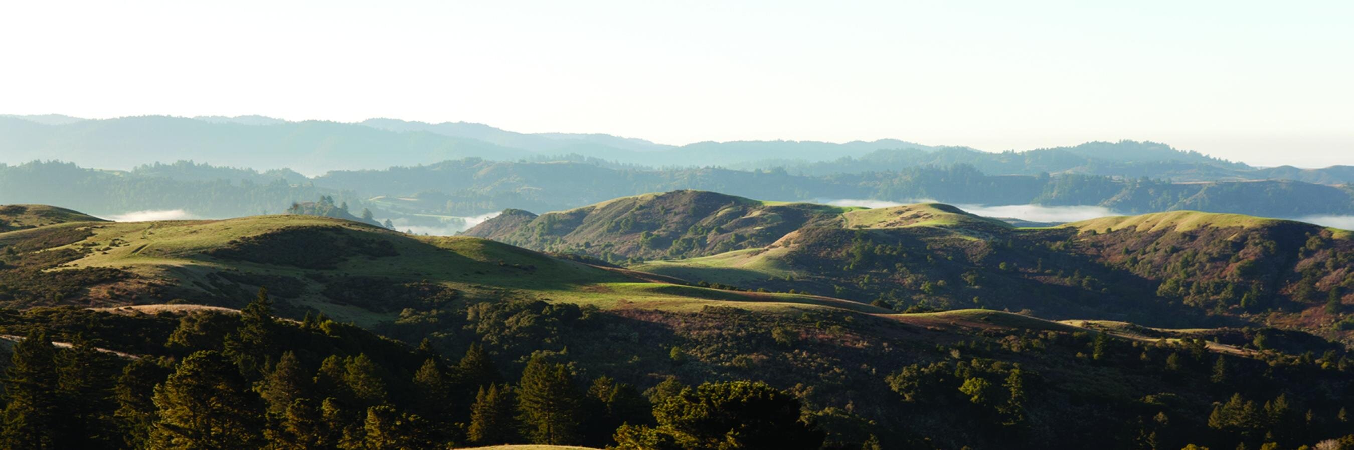 Djerassi Program banner