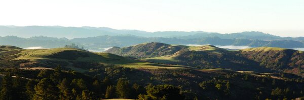 Djerassi Program Profile Banner