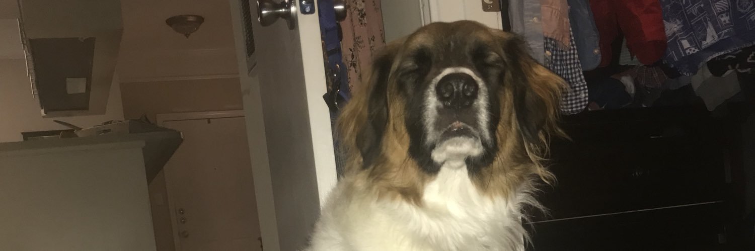 Not_DylanB's profile banner image