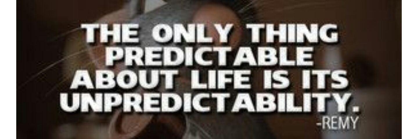 Fat_Tony_614's profile banner image