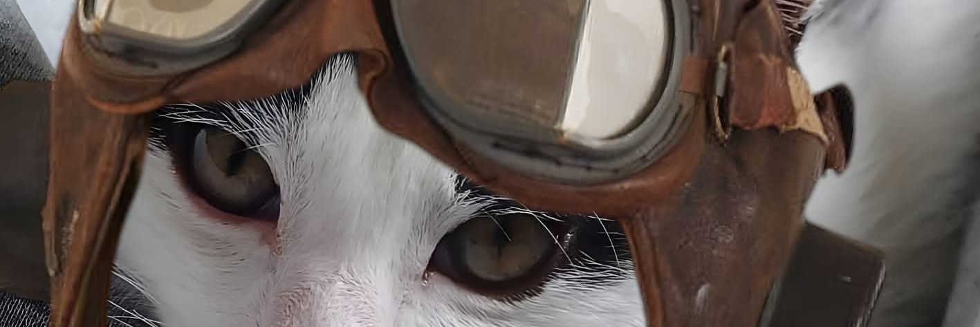 Philsonatill's profile banner image
