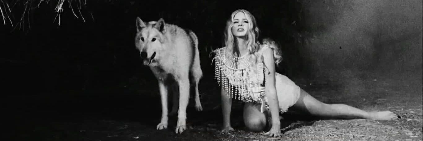 KatelynMelo's profile banner image