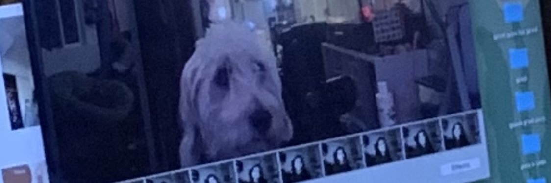 Guccivane's profile banner image