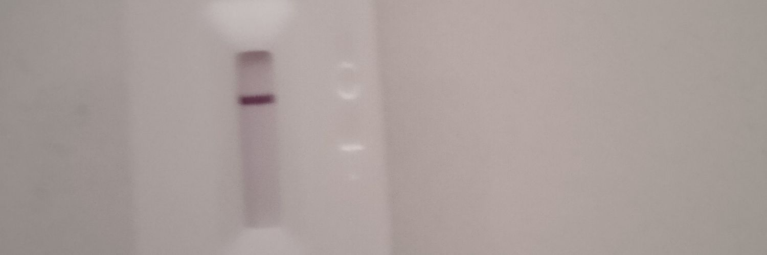 Phemdzz's profile banner image