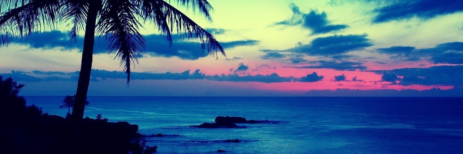 ParamourSw's profile banner image