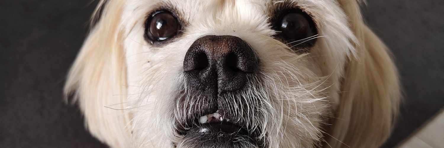 tmtrkblge's profile banner image